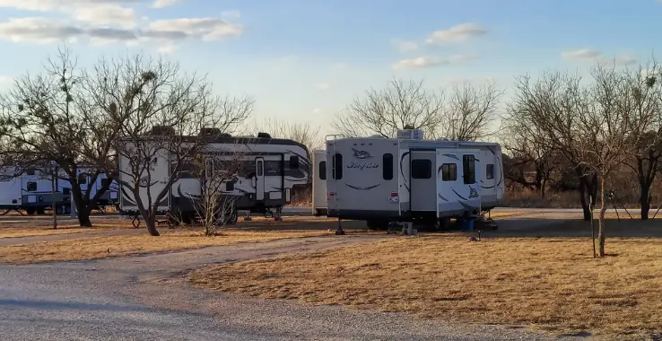 Rows of RVs parked among mature trees at Buck Creek RV Park at golden hour